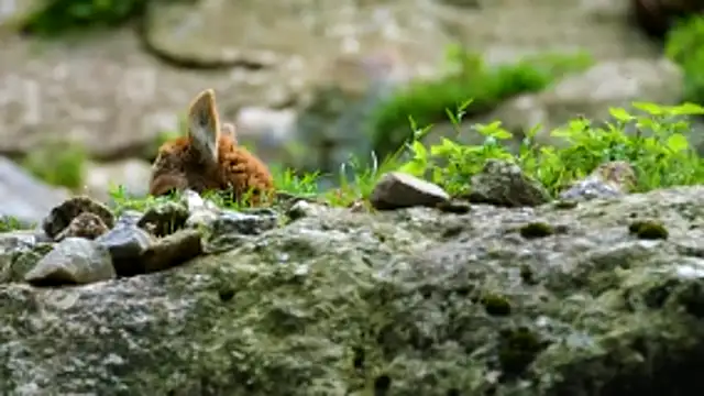 Snapshot of streamy_test13 chatting on 11/27/25, 03:03 streamy test13 online show from 11/27/25, 03:03