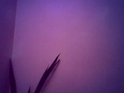 Malandralle online show from 11/25/25, 05:29