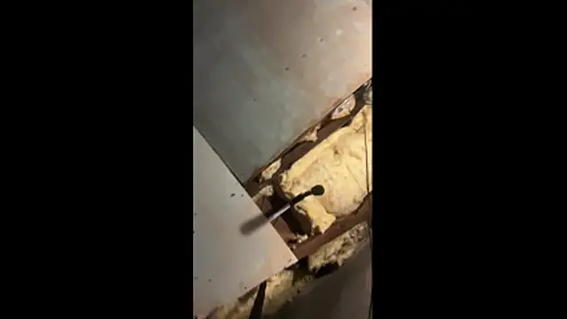 Snapshot of Manwhorxxlcock chatting on 03/03/26, 10:32 Manwhorxxlcock online show from 03/03/26, 10:32