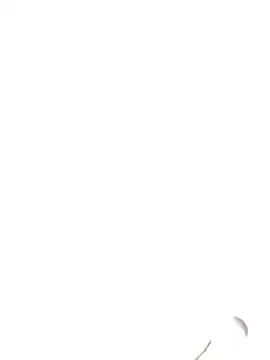 Snapshot of Cutiti123 chatting on 02/24/26, 06:00 Cutiti123 online show from 02/24/26, 06:00