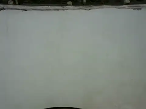 michel sc online show from 01/30/25, 08:43