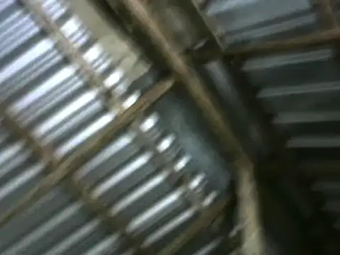 michel sc online show from 10/05/25, 10:24