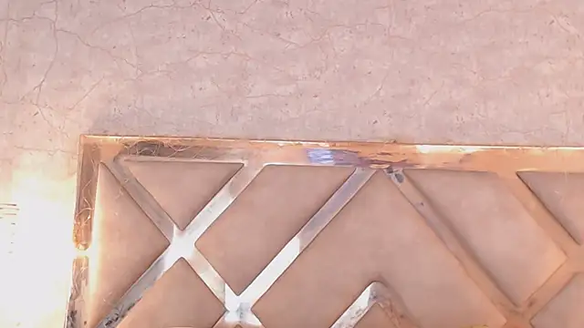 JoannaStanford online show from 03/19/25, 02:27