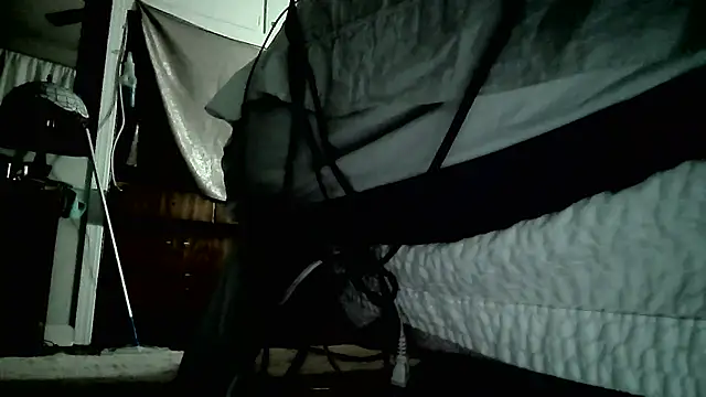 paiday online show from 12/26/24, 09:55