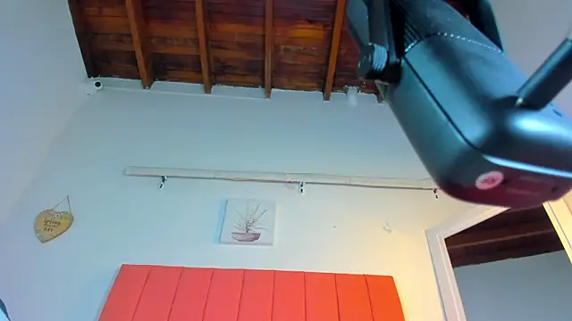 valen rose0 online show from 11/02/25, 12:07