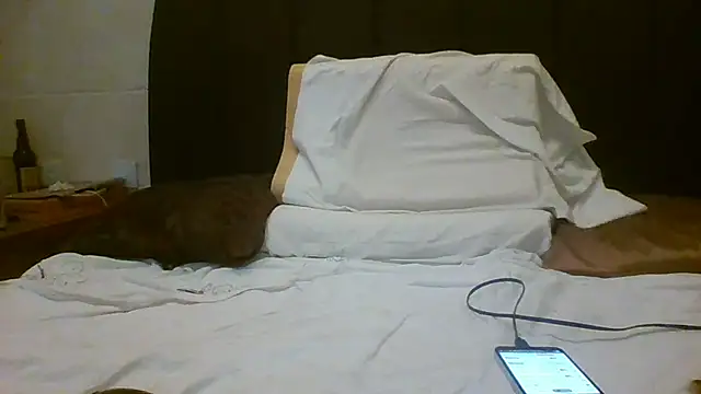 Snapshot of Denisilboss chatting on 03/24/26, 03:50 Denisilboss online show from 03/24/26, 03:50