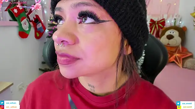 Snapshot of zoesullivan chatting on 11/21/25, 09:41 zoesullivan online show from 11/21/25, 09:41