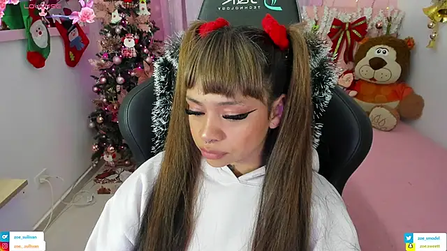 Snapshot of zoesullivan chatting on 11/28/25, 09:56 zoesullivan online show from 11/28/25, 09:56