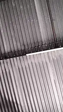 Snapshot of mendelicius chatting on 02/11/26, 01:27 mendelicius online show from 02/11/26, 01:27