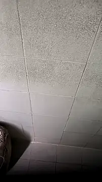 mendelicius online show from 02/16/26, 04:36