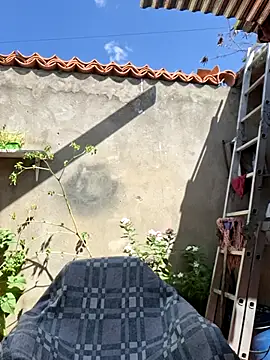 room 24funn online show from 11/14/25, 03:00