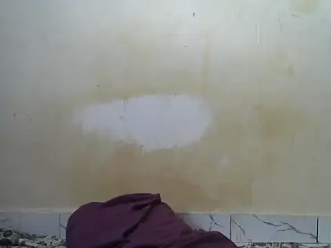 Snapshot of Zenath_ chatting on 07/30/26, 04:55 Zenath online show from 07/30/26, 04:55