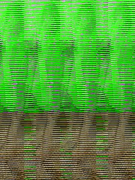 HimiJim online show from 11/10/25, 11:42