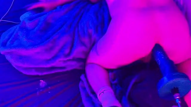 Snapshot of BJSchlect chatting on 03/02/26, 10:00 BJSchlect online show from 03/02/26, 10:00