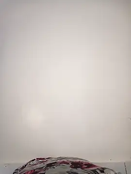 Sexy Shanty online show from 01/17/25, 08:34