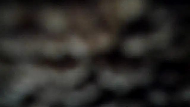 Snapshot of leatherz69 chatting on 03/07/25, 04:02 leatherz69 online show from 03/07/25, 04:02