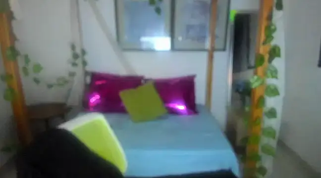 lussyevans24 online show from 02/25/25, 04:35