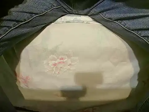 Tiger202441 online show from 12/19/24, 10:21