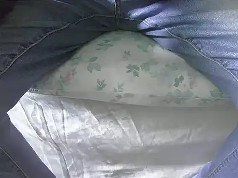 Tiger202441 online show from 02/02/25, 12:46