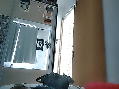 Snapshot of Binhosex2024 chatting on 03/12/25, 06:00 Binhosex2024 online show from 03/12/25, 06:00