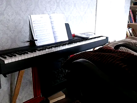 Snapshot of MrStraightDik chatting on 02/25/25, 12:45 MrStraightDik online show from 02/25/25, 12:45