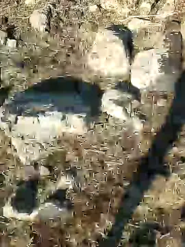 murokkk31 online show from 12/21/24, 08:39