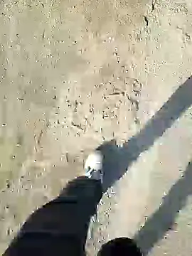 murokkk31 online show from 12/31/24, 11:20