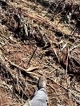 murokkk31 online show from 12/14/25, 08:41