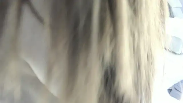 Snapshot of celestica_rose chatting on 02/02/26, 10:30 celestica rose online show from 02/02/26, 10:30