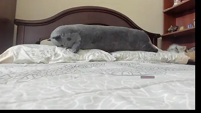 Snapshot of linnie_ chatting on 02/02/26, 02:32 linnie online show from 02/02/26, 02:32