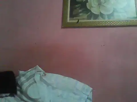 Bonecagulosa online show from 06/04/26, 08:59