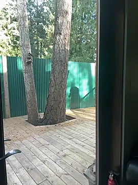 Snapshot of twist699 chatting on 11/08/25, 06:40 twist699 online show from 11/08/25, 06:40