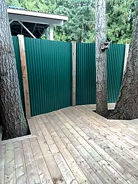 Snapshot of twist699 chatting on 11/11/25, 06:41 twist699 online show from 11/11/25, 06:41