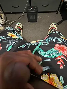 Cameltoekilla online show from 04/13/26, 01:22