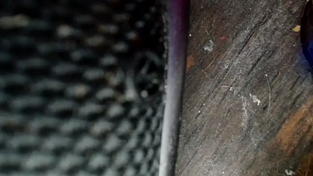 Gigadickman online show from 12/02/24, 08:33