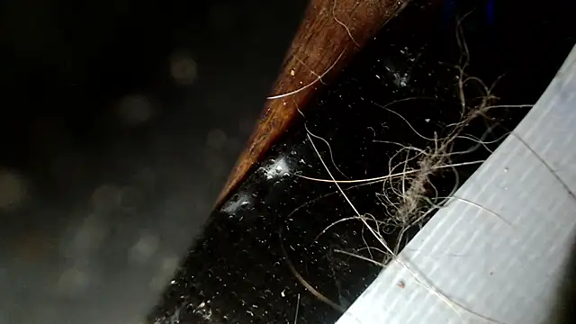 Gigadickman online show from 12/03/24, 02:47