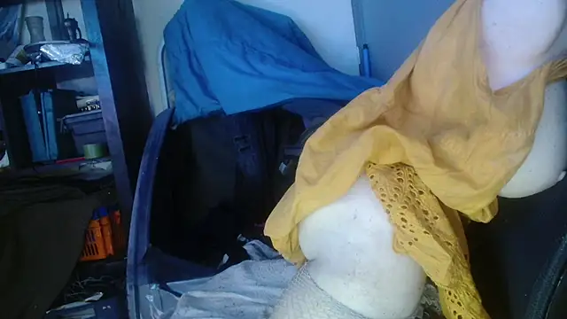 Gigadickman online show from 01/29/25, 02:19