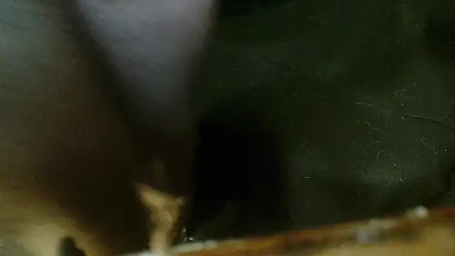 Gigadickman online show from 10/04/25, 02:31