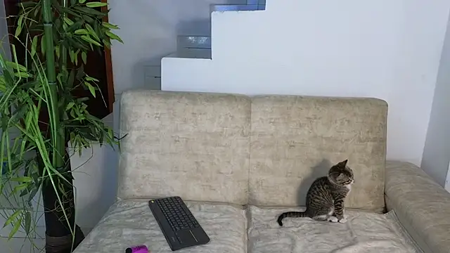 Snapshot of Lorenne_Miller chatting on 10/20/25, 03:29 Lorenne Miller online show from 10/20/25, 03:29