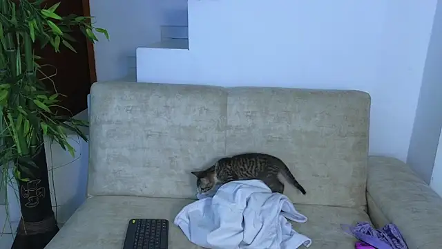 Snapshot of Lorenne_Miller chatting on 10/22/25, 05:08 Lorenne Miller online show from 10/22/25, 05:08