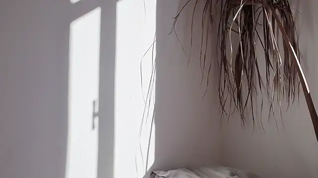 Snapshot of my_lina chatting on 10/17/25, 06:27 my lina online show from 10/17/25, 06:27