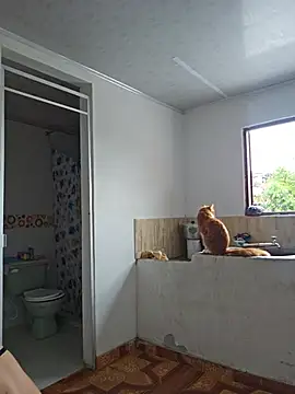 Abbyjonhson   online show from 05/30/26, 05:21