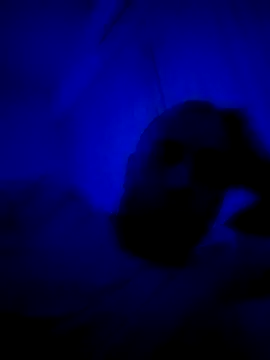 Snapshot of HELL_FIRE chatting on 09/30/25, 05:23 HELL FIRE online show from 09/30/25, 05:23