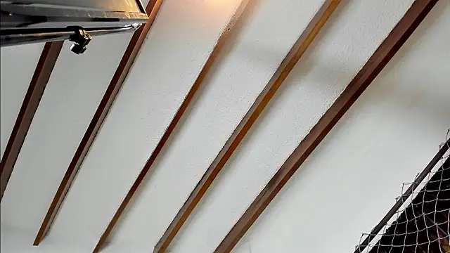 Beard xox online show from 12/04/24, 01:47