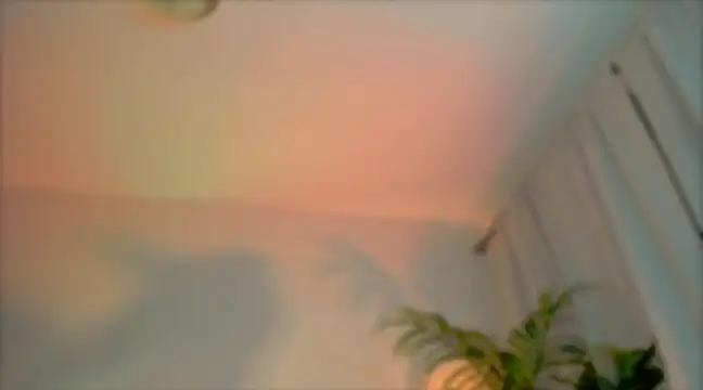 Snapshot of _cherry_bloss_ chatting on 03/04/25, 12:29 cherry bloss online show from 03/04/25, 12:29