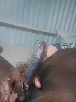 Snapshot of advocate2 chatting on 11/08/25, 06:13 advocate2 online show from 11/08/25, 06:13