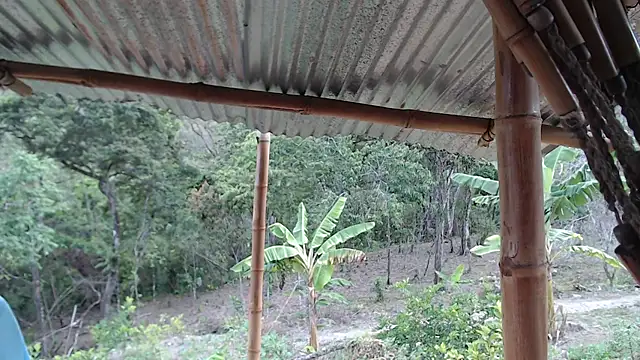 andreu mature online show from 10/09/25, 09:57