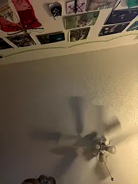 Snapshot of Lalalynn chatting on 10/28/25, 02:31 Lalalynn online show from 10/28/25, 02:31