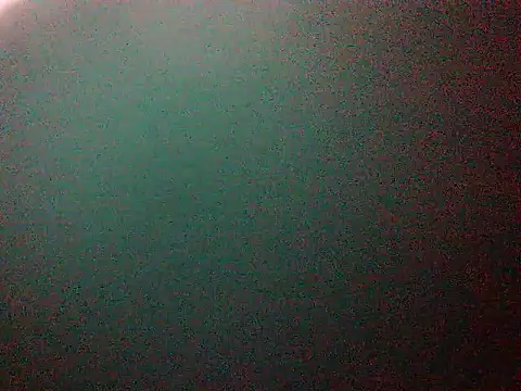 Snapshot of mumbi91 chatting on 01/11/25, 01:59 mumbi91 online show from 01/11/25, 01:59