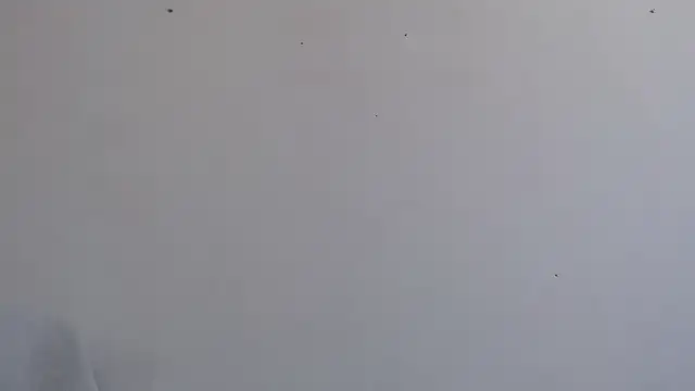 Snapshot of Niurca01_ chatting on 09/26/25, 03:49 Niurca01 online show from 09/26/25, 03:49